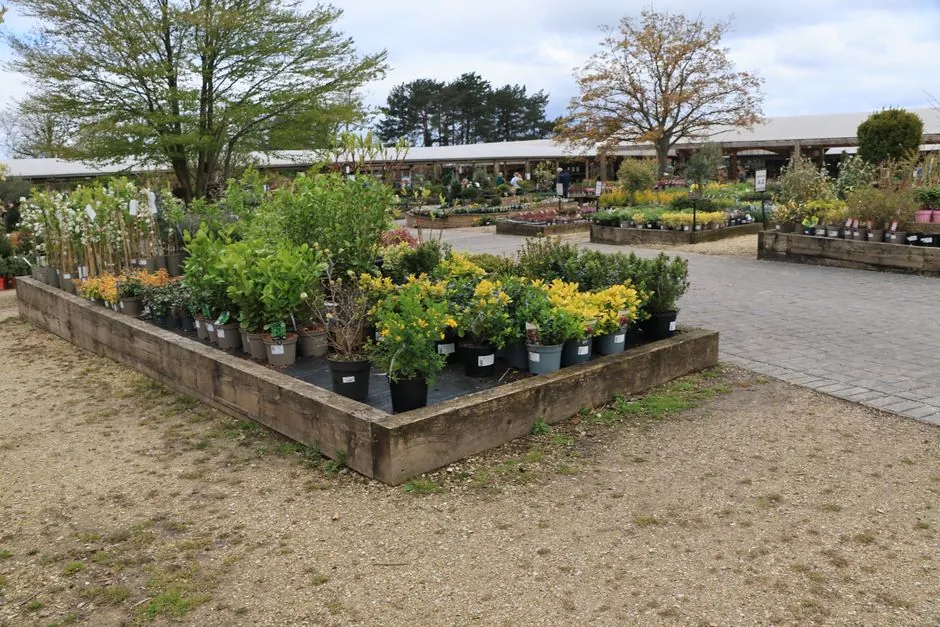 Réalisation jardin Plaisir Paysage 1