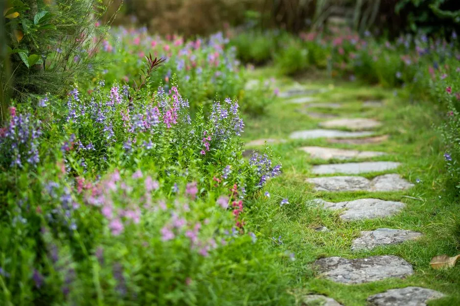 Réalisation jardin Plaisir Paysage 2